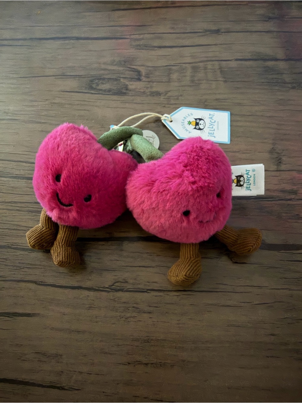 Jellycat Hot Pink Cherry Pair Plush with Cord Stem